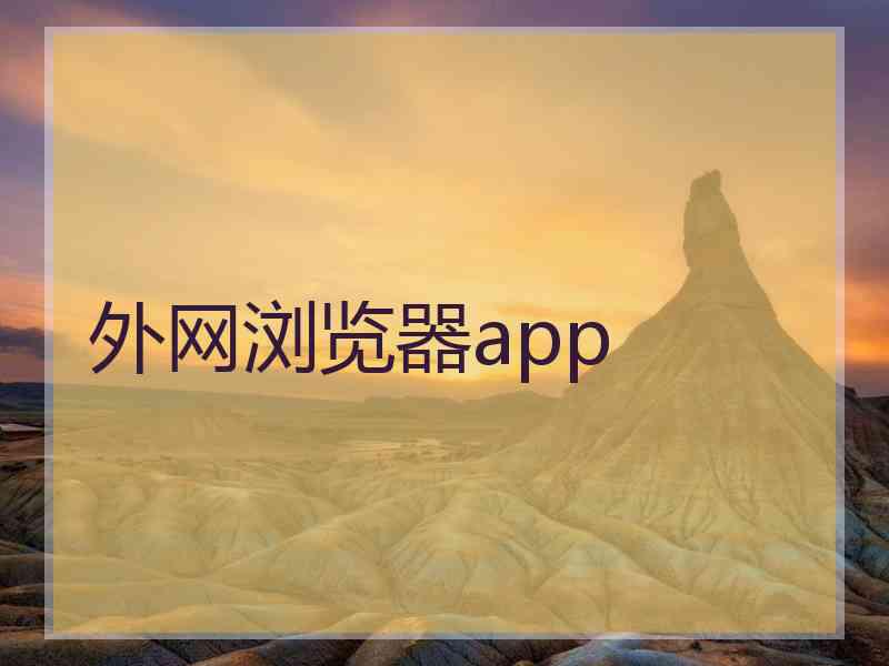 外网浏览器app