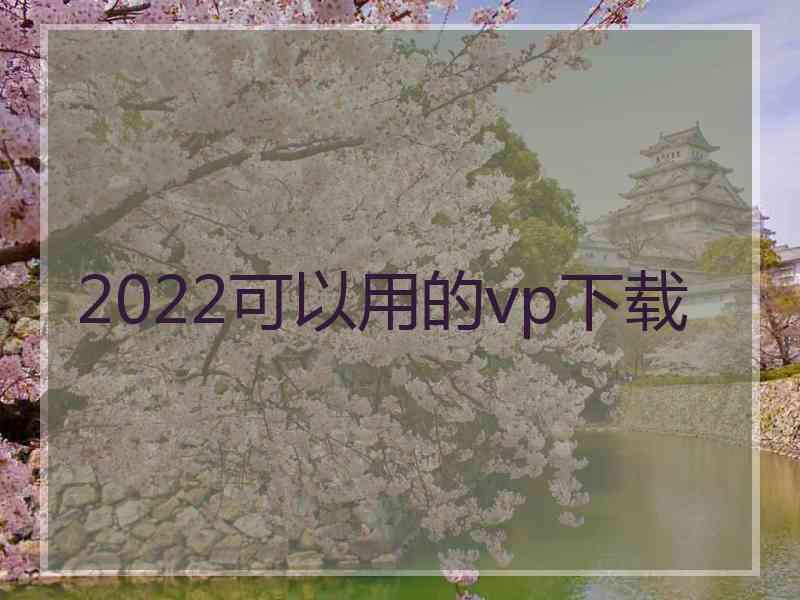 2022可以用的vp下载