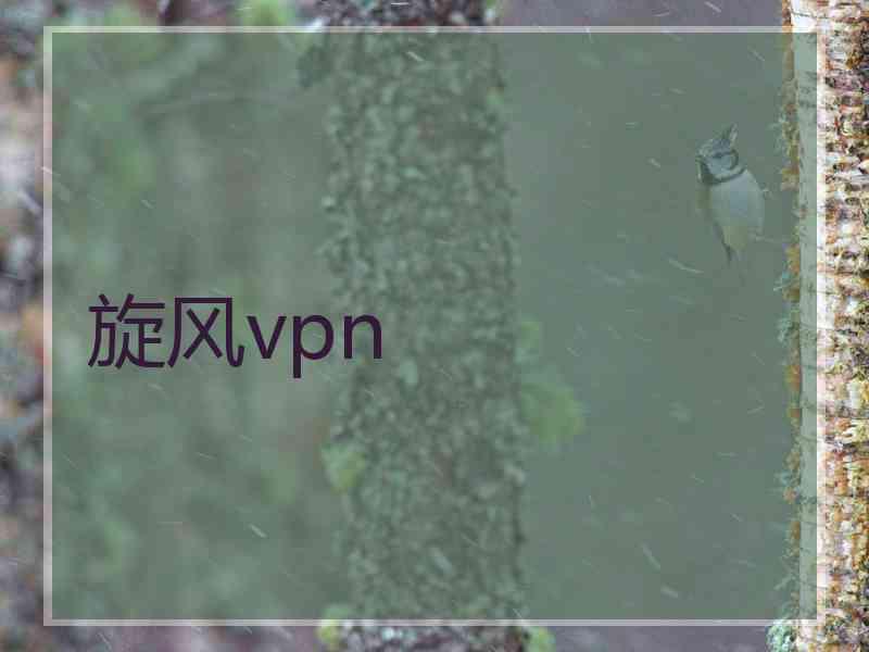 旋风vpn