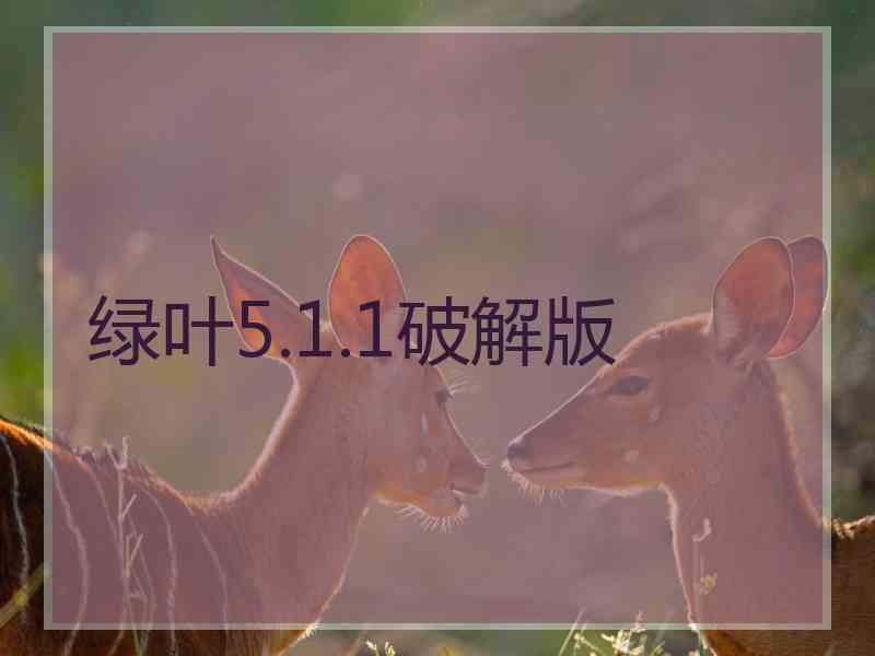 绿叶5.1.1破解版