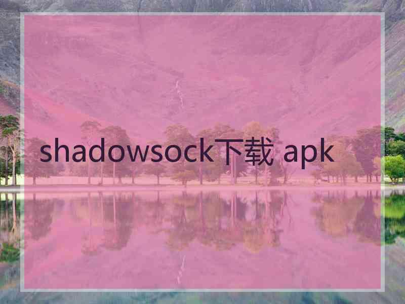 shadowsock下载 apk