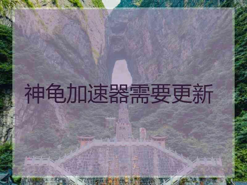 神龟加速器需要更新