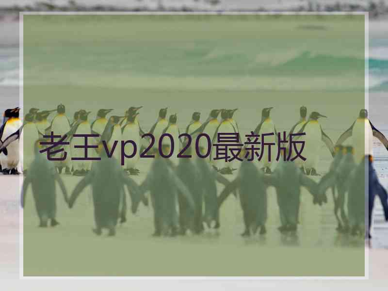 老王vp2020最新版