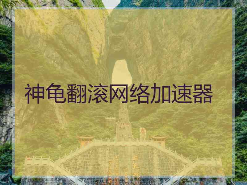 神龟翻滚网络加速器