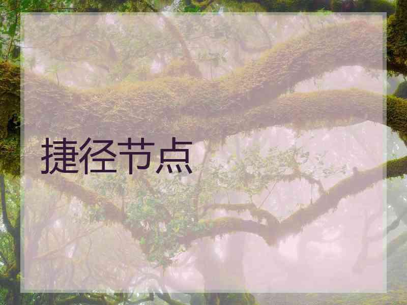 捷径节点