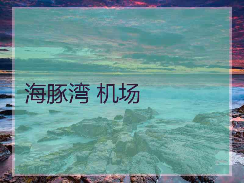 海豚湾 机场