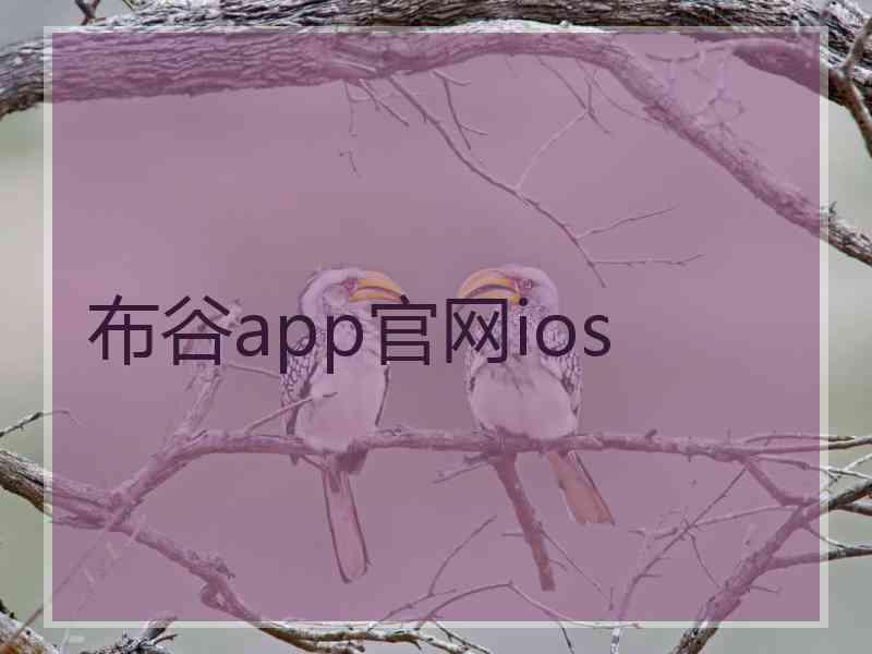 布谷app官网ios