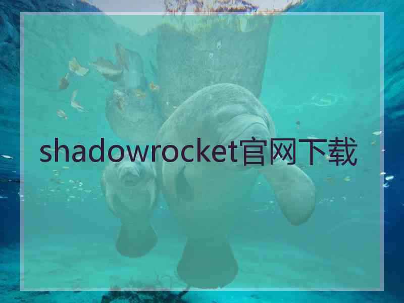 shadowrocket官网下载