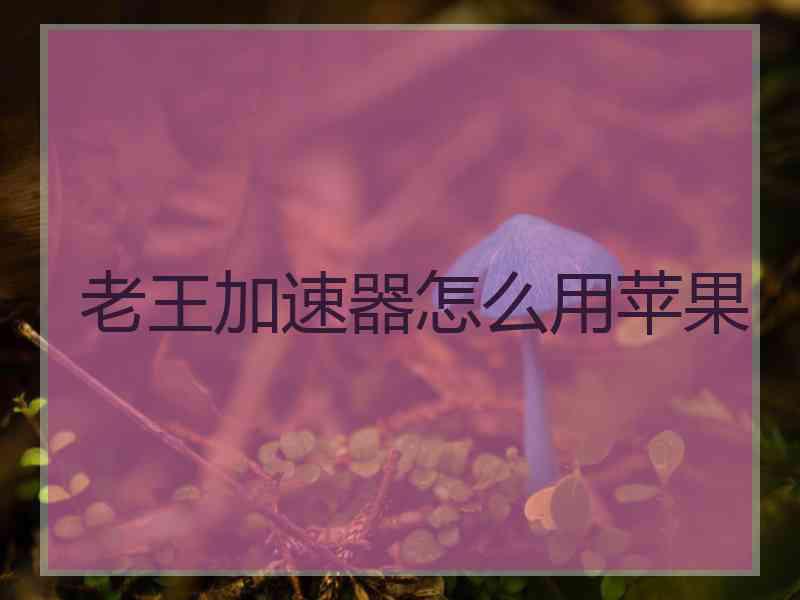 老王加速器怎么用苹果