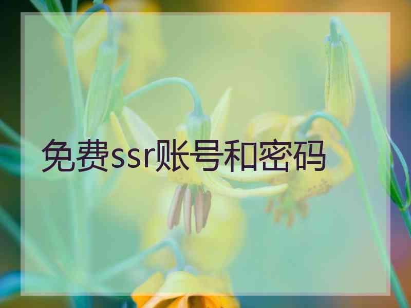 免费ssr账号和密码