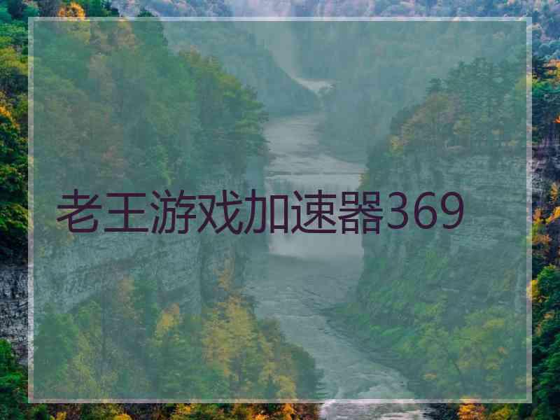 老王游戏加速器369