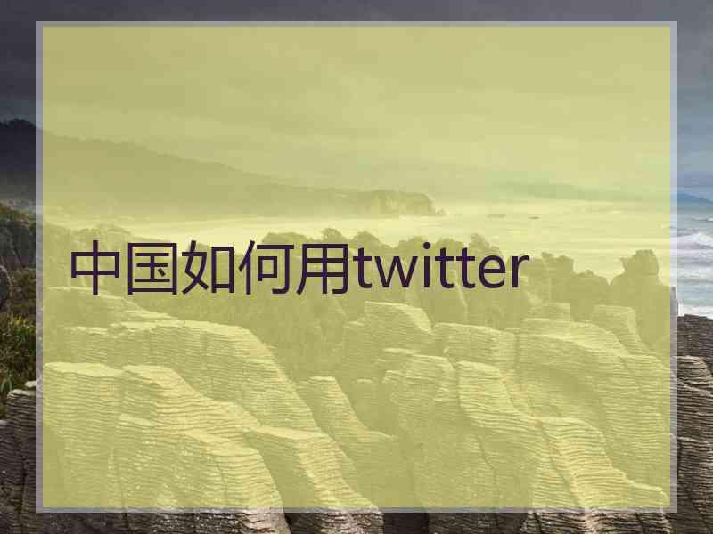 中国如何用twitter