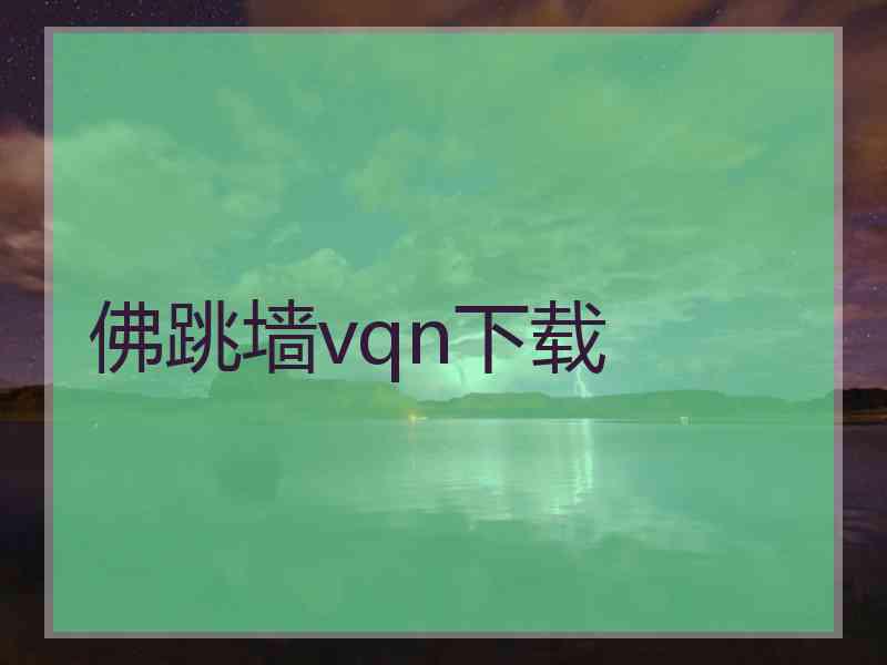 佛跳墙vqn下载