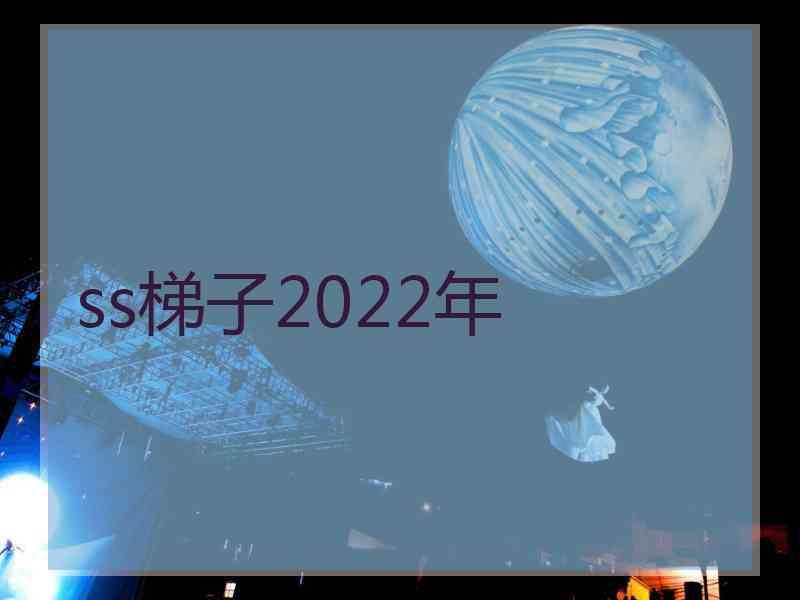 ss梯子2022年