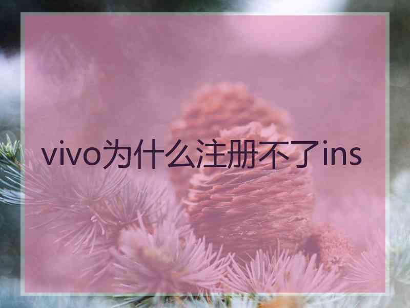 vivo为什么注册不了ins