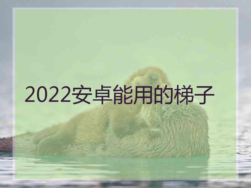 2022安卓能用的梯子