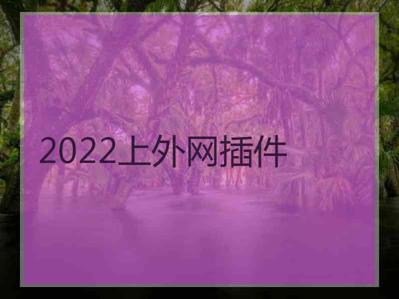 2022上外网插件