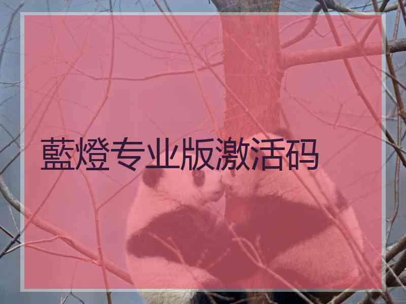 藍燈专业版激活码