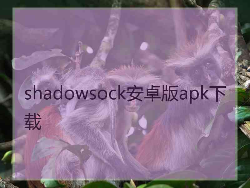 shadowsock安卓版apk下载