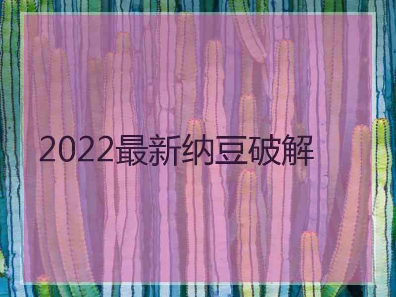 2022最新纳豆破解