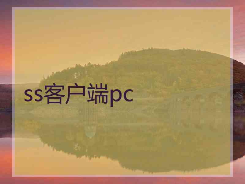 ss客户端pc