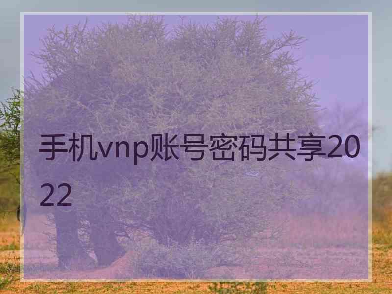 手机vnp账号密码共享2022