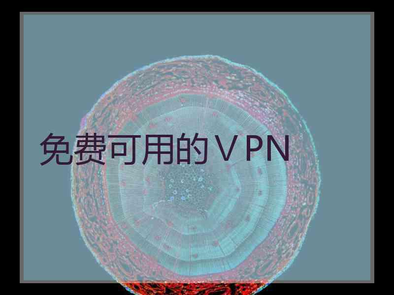 免费可用的ⅤPN