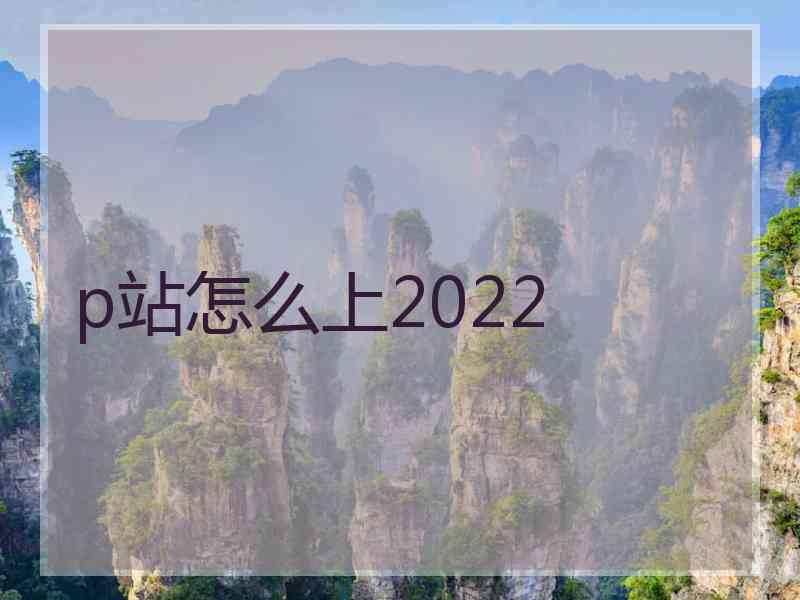 p站怎么上2022