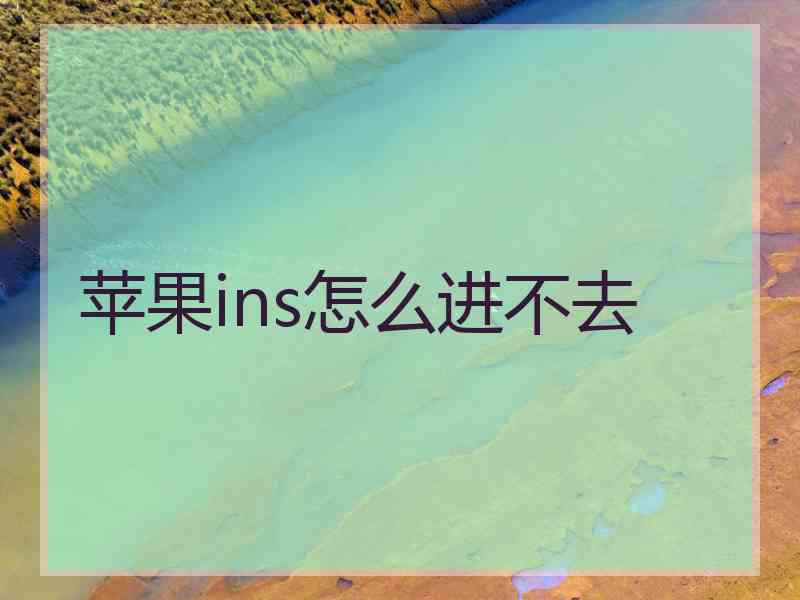 苹果ins怎么进不去